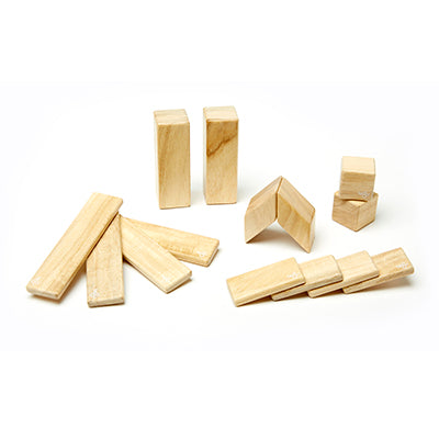 14-Piece Set <br>Magnetic Wooden Blocks <br>Tegu Classics