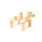 24-Piece Set <br>Magnetic Wooden Blocks <br>Tegu Classics