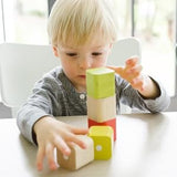 Baby's First Blocks <br>15 piece
