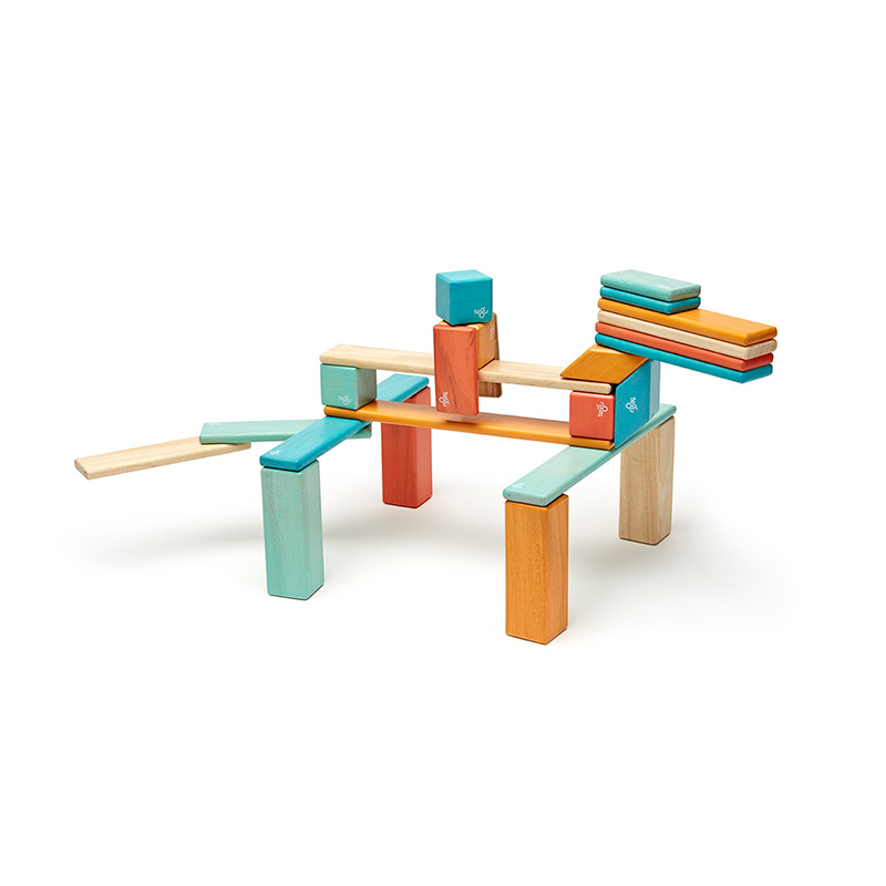 24 Piece Set Magnetic Wooden Blocks Tegu Classics