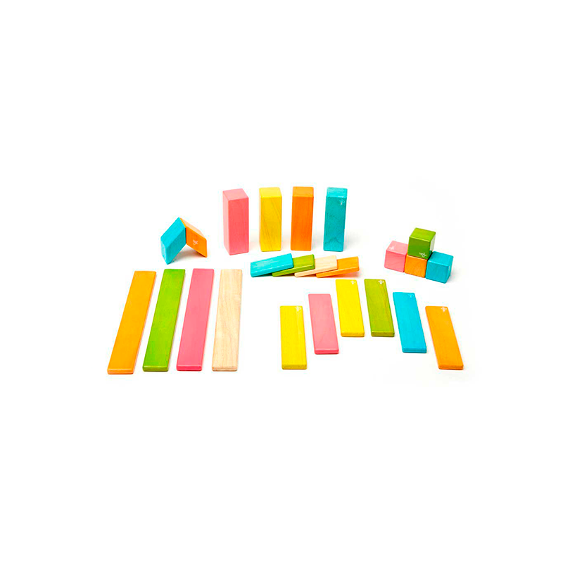 24-Piece Set Magnetic Wooden Blocks Tegu Classics