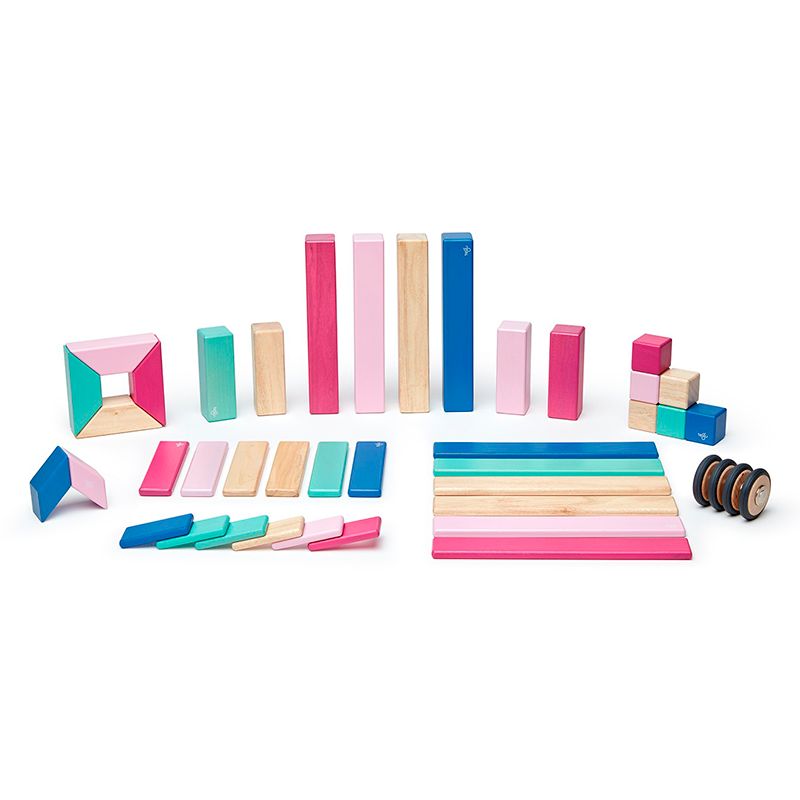 Tegu 40 piece explorer set sales