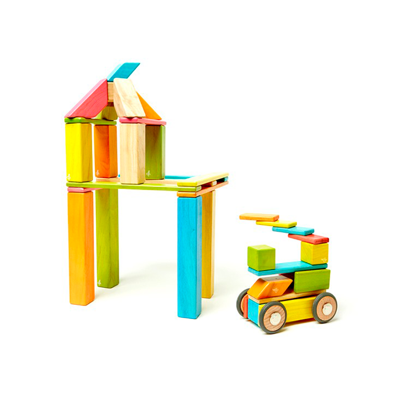 Tegu 40 piece explorer set sales