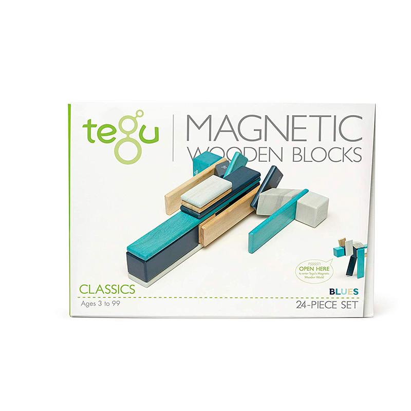 24 Piece Set Magnetic Wooden Blocks Tegu Classics