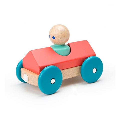 Swivel Bug Tegu Baby and Toddler 1 piece Rainbow at Tegu Toys