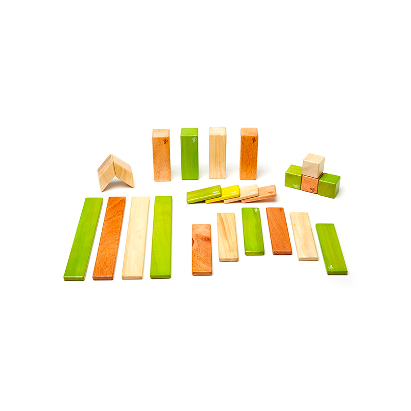 Tegu 24 new arrivals