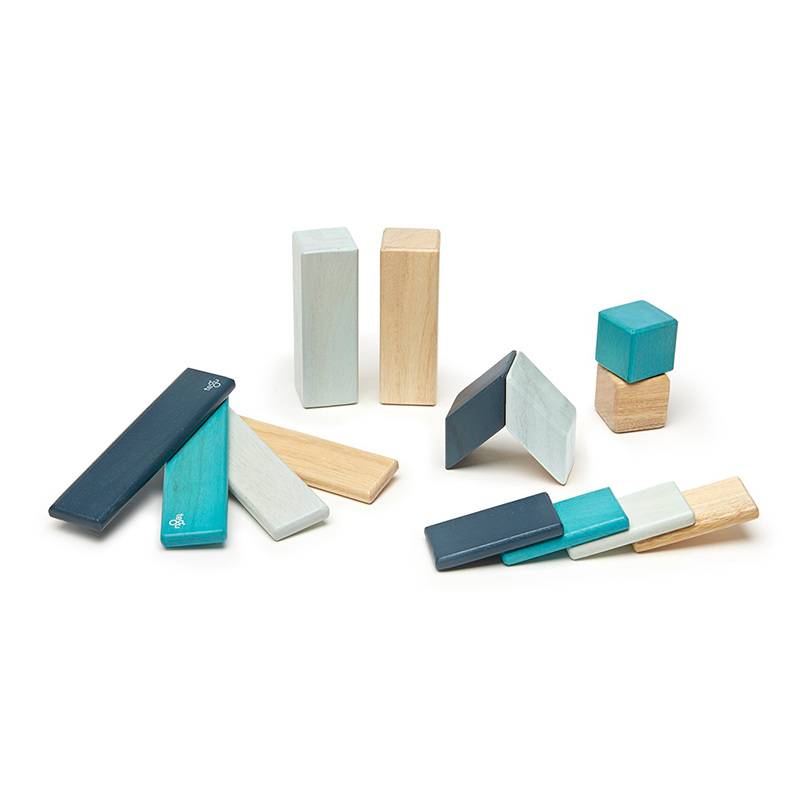 14 Piece Set Magnetic Wooden Blocks Tegu Classics