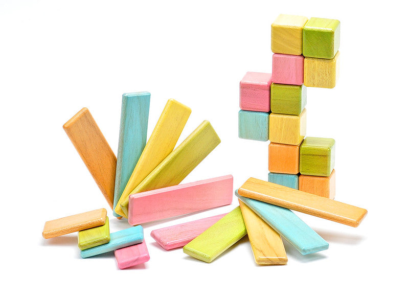 Discovery Set <br>Magnetic Wooden Blocks <br>26 pieces