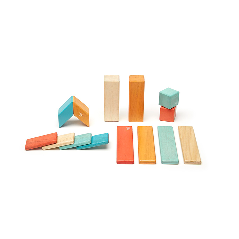 14-Piece Set <br>Magnetic Wooden Blocks <br>Tegu Classics