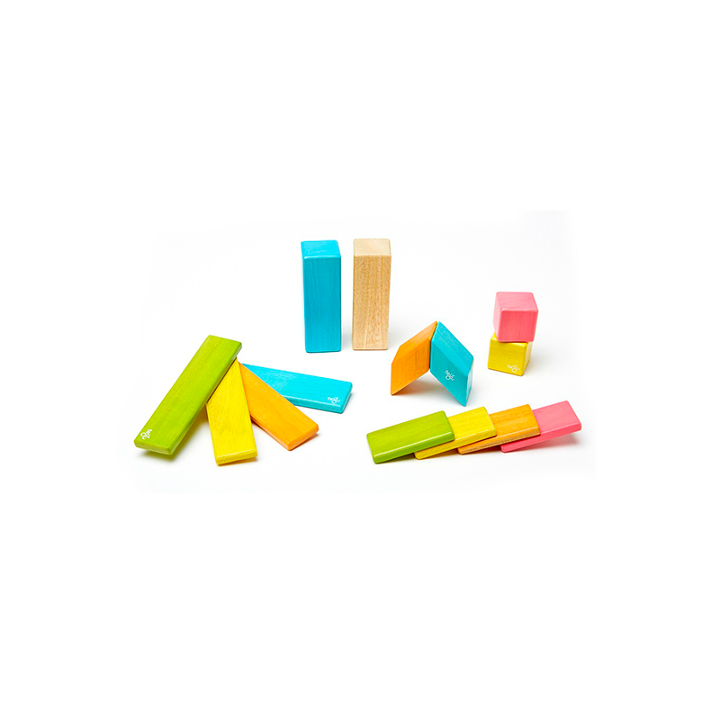 Tegu 40 piece hot sale set